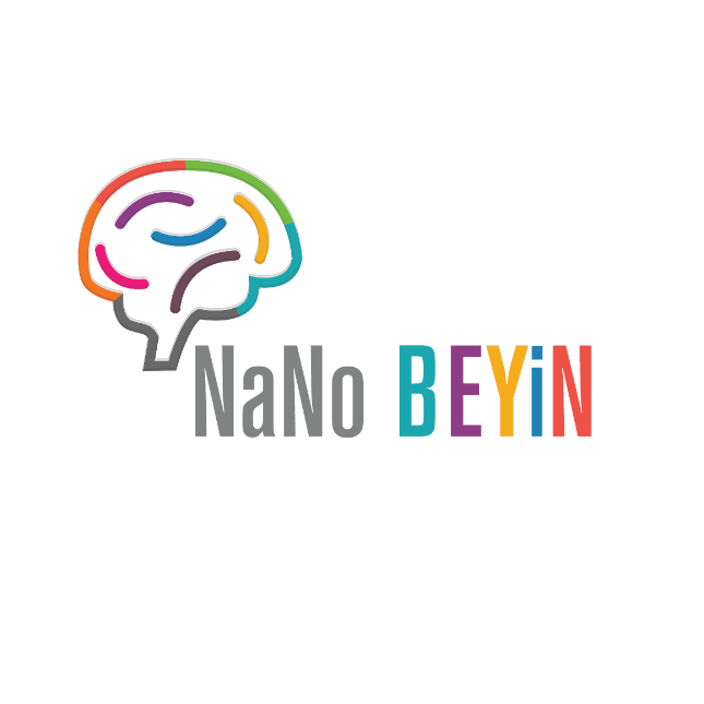 Nano Beyin
